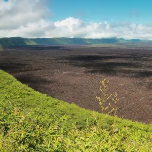 Sierra Negra Volcano and Chico Volcano