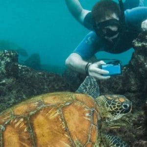 Isla Tortuga Snorkel Tour + Tintorera Islet hiking